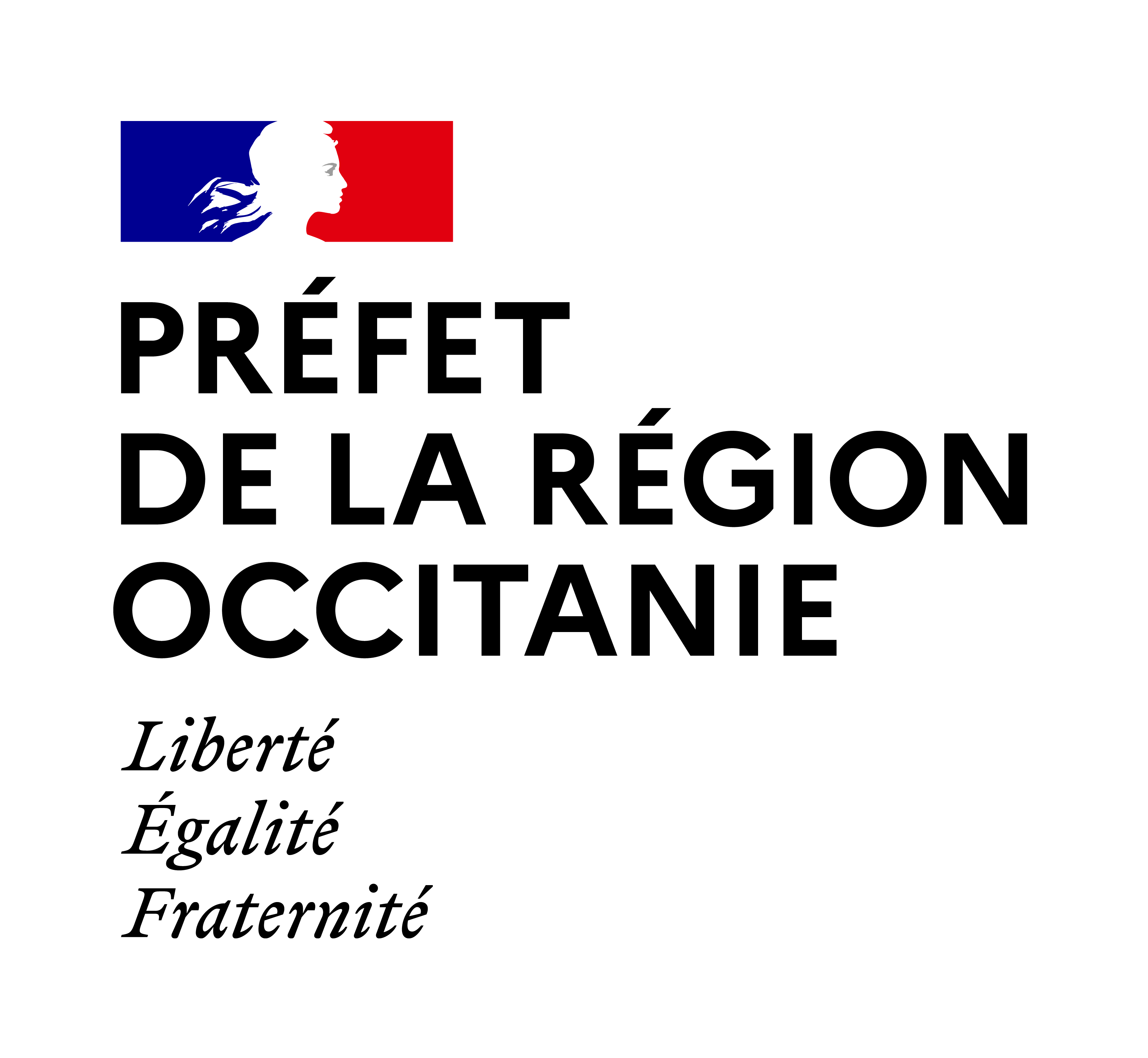 PREF_region_Occitanie_RVB